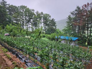 전병대님의 내 농사 경력 자랑하기 · 참여 작성글 사진