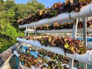 전병대님의 내 농사 경력 자랑하기 · 참여 작성글 사진