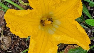 먹골농부님의 자유주제 · 사진전 작성글 사진