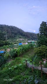 팜모닝 내 농사 경력 자랑하기·참여 게시글 이미지