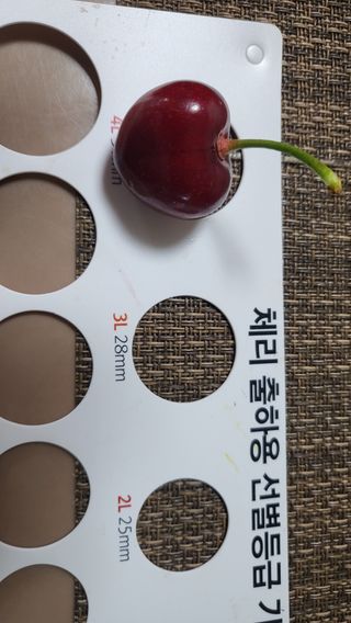 카리마님의 내 농사 경력 자랑하기 · 참여 작성글 사진