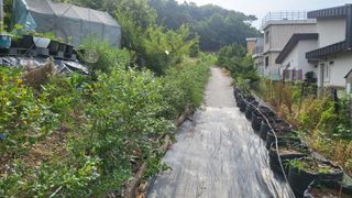 카리마님의 내 농사 경력 자랑하기 · 참여 작성글 사진