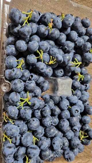 카리마님의 내 농사 경력 자랑하기 · 참여 작성글 사진