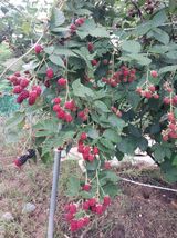 팜모닝 자유주제·자유게시판 게시글 이미지