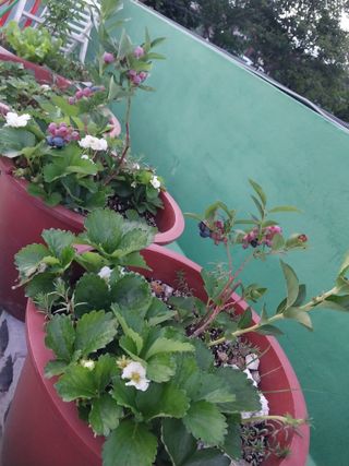 해안로님의 자유주제 · 자유게시판 작성글 사진