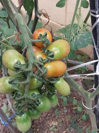 해안로님의 자유주제 · 자유게시판 작성글 사진