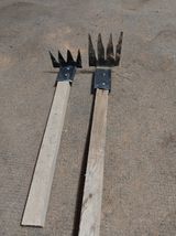 팜모닝 자유주제·자유게시판 게시글 이미지