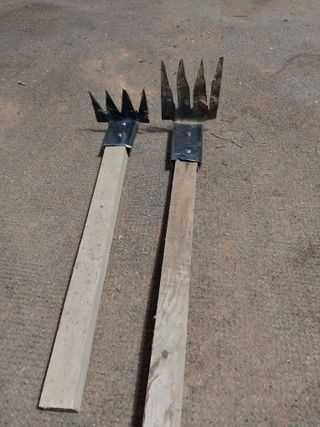 33okok님의 자유주제 · 자유게시판 작성글 사진