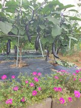 팜모닝 자유주제·사진전 게시글 이미지