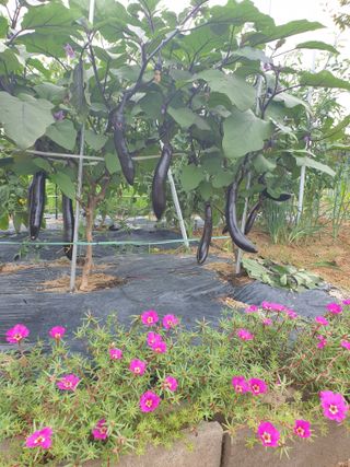 임기억님의 자유주제 · 사진전 작성글 사진