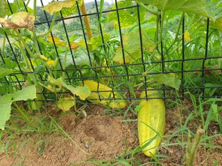 임기억님의 자유주제 · 사진전 작성글 사진