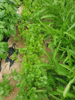 임기억님의 자유주제 · 사진전 작성글 사진