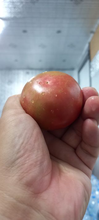 윤충기님의 내 농사 경력 자랑하기 · 참여 작성글 사진