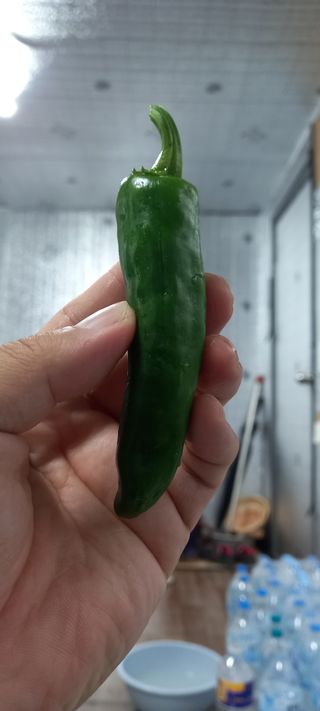 윤충기님의 내 농사 경력 자랑하기 · 참여 작성글 사진