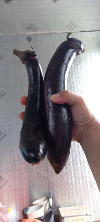 윤충기님의 내 농사 경력 자랑하기 · 참여 작성글 사진