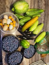 팜모닝 내 농사 경력 자랑하기·참여 게시글 이미지