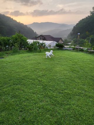 김현정님의 내 농사 경력 자랑하기 · 참여 작성글 사진