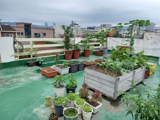 heon yeol님의 고추 · 일상 작성글 사진