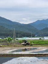 팜모닝 내 농사 경력 자랑하기·참여 게시글 이미지