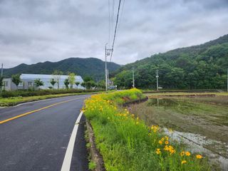 황금 소나무님의 내 농사 경력 자랑하기 · 참여 작성글 사진