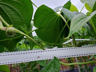 곽해영님의 기타작물 · 자유게시판 작성글 사진