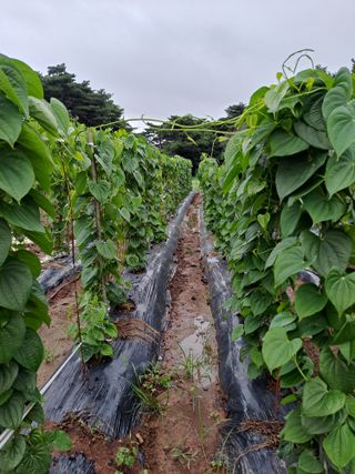 곽해영님의 기타작물 · 자유게시판 작성글 사진