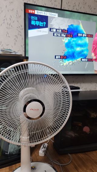 김귀태님의 콩 · 영농일지 작성글 사진