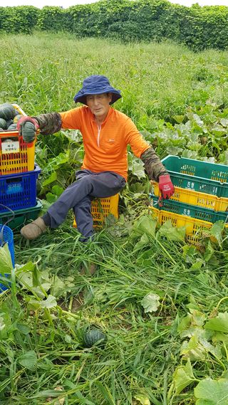 변창신님의 내 농사 경력 자랑하기 · 참여 작성글 사진