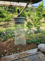 팜모닝 복숭아·병해충상담 게시글 이미지