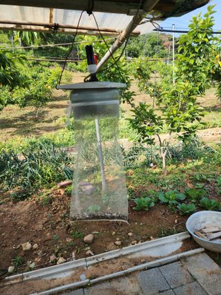 장영환 님의 복숭아 · 병해충상담 작성글 사진