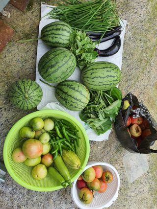 행복하게~님의 내 농사 경력 자랑하기 · 참여 작성글 사진