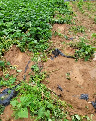 이해경님의 자유주제 · 자유게시판 작성글 사진