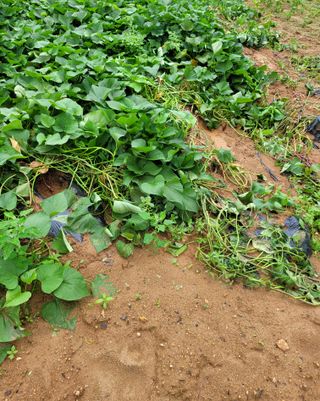 이해경님의 자유주제 · 자유게시판 작성글 사진