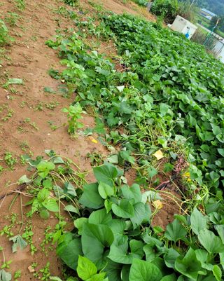 이해경님의 자유주제 · 자유게시판 작성글 사진