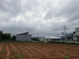 장준호님의 콩 · 영농일지 작성글 사진