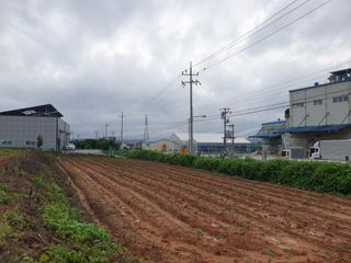 장준호님의 콩 · 영농일지 작성글 사진