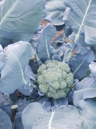 홍&이님의 자유주제 · 칭찬해요 작성글 사진