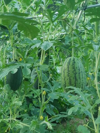 홍&이님의 자유주제 · 칭찬해요 작성글 사진