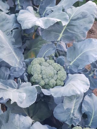 홍&이님의 자유주제 · 칭찬해요 작성글 사진