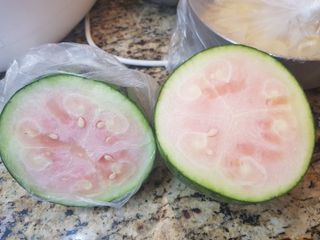 홍&이님의 자유주제 · 칭찬해요 작성글 사진