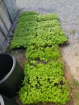 팜모닝 자유주제·자유게시판 게시글 이미지