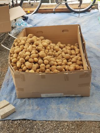 홍&이님의 자유주제 · 자유게시판 작성글 사진