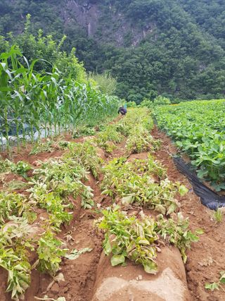 홍&이님의 자유주제 · 자유게시판 작성글 사진