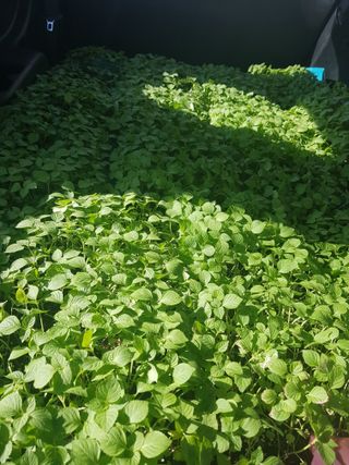 홍&이님의 자유주제 · 자유게시판 작성글 사진