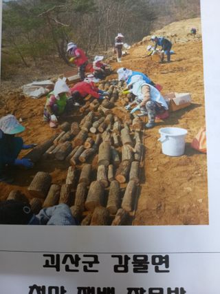 이영수님의 기타작물 · 자유게시판 작성글 사진