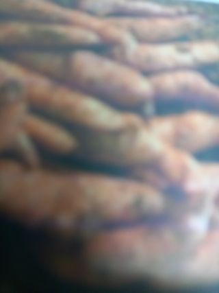 이영수님의 기타작물 · 자유게시판 작성글 사진