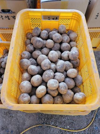 장미부인님의 자유주제 · 자유게시판 작성글 사진