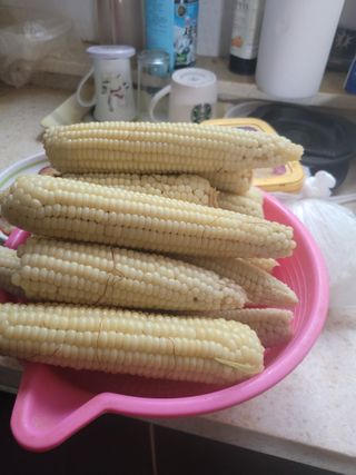 장미부인님의 자유주제 · 자유게시판 작성글 사진