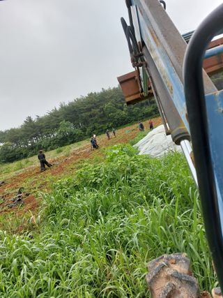 농촌의지킴님의 자유주제 · 자유게시판 작성글 사진