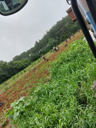 농촌의지킴님의 자유주제 · 자유게시판 작성글 사진